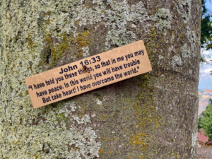 jonh 1633 image.webp