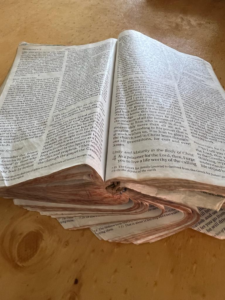 old worn out bible.webp