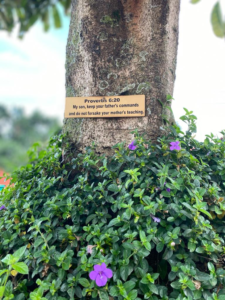 proverbs 623 image 1.webp